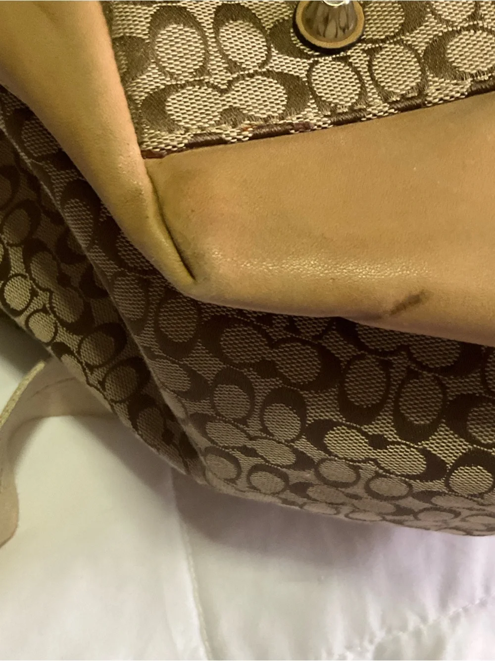Signature Pattern Tote Bag in Tan